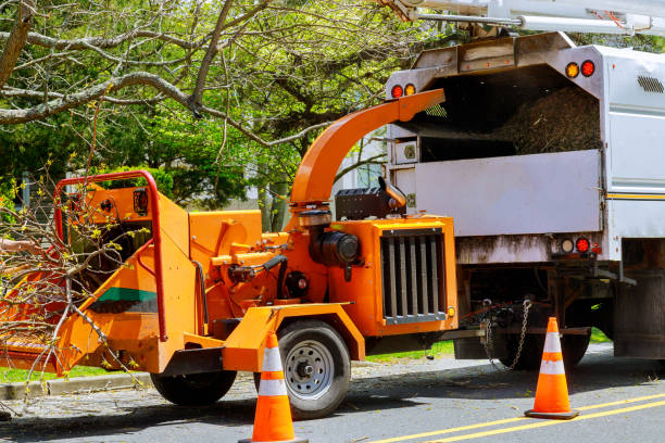 How Our Tree Care Process Works  in  Wabasso Beach, FL